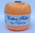 KOLOR 025